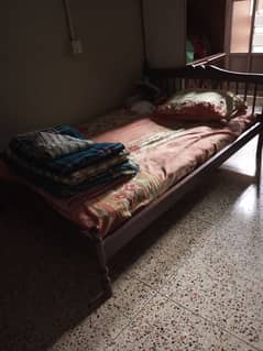 size is between single and double bed