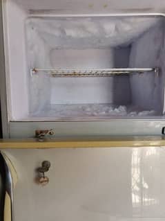 refrigerator
