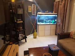 aquarium
