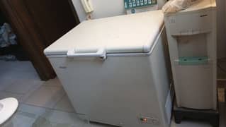Haier