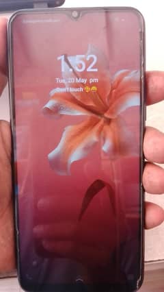 vivo