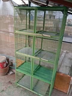 Birds Cage