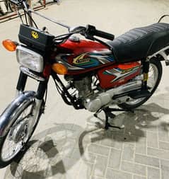 2022 United 125 Euro (Sealed Head or Engine)