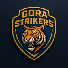 Professional Logo Designer | Freelance Branding Expert"