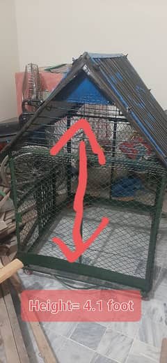Hen/Parrot Cage for Sale