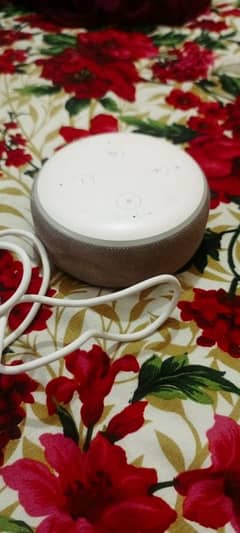 echo dot 3rd generation used me hai sab thek hai koi masla nhi hai