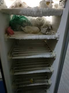 Dawlance freezer