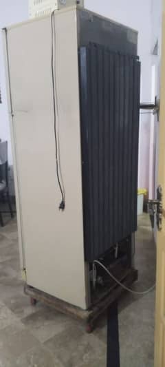 Pel refrigerator for sale