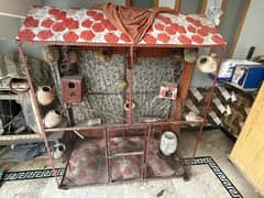 Birds cage