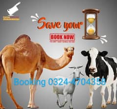 Qasai available for Eid 2025
