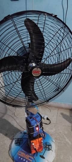 condition 10/10 hai