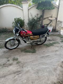 Honda CG 125 Gold Edition – 2025 Model