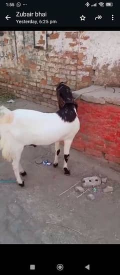 KHASSI