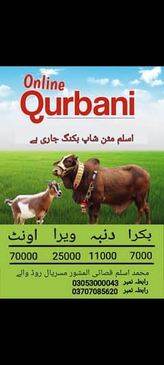 qurbani ka Liye rabta kary
