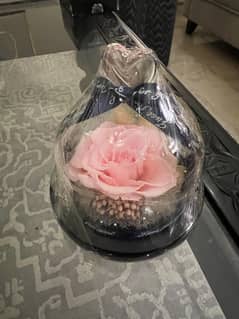 Forever Rose
