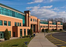 Required female teacher