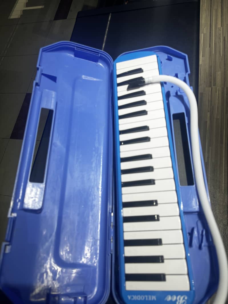 37 keys bee brand melodica /Grand Piano /Piano / Guitar /Keyboard ...