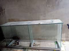 shop counter