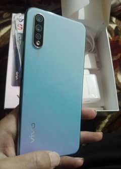 Vivo