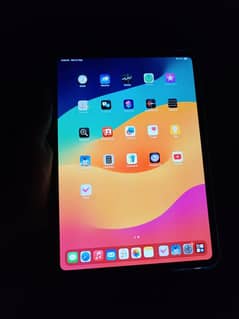 I Pad M4 pro 11 inch