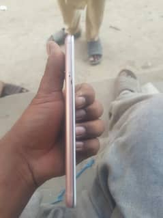 tauqeer