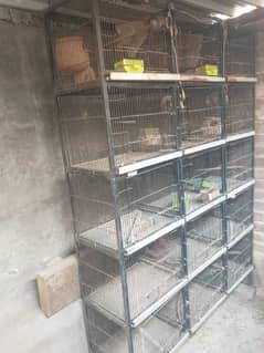 cage for Finch and dove