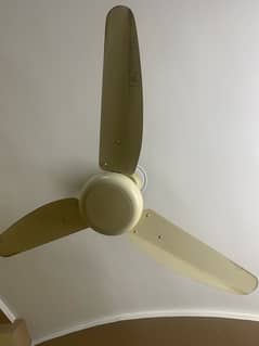 Original Parwaz ceiling fan