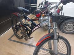 Phoenix bicycle