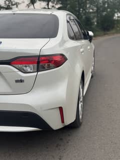 Toyota Corolla Hybrid WxB