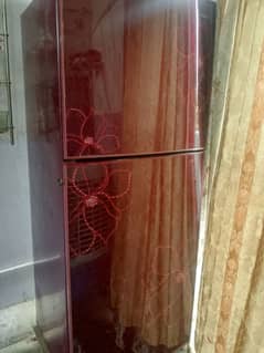 Orient fridge for sale glass door