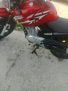 bike sale