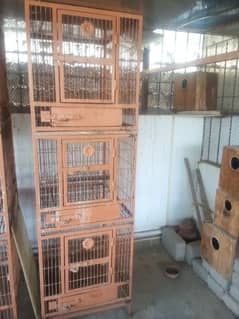 catch for sale for raw & ringneck