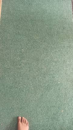 Hall Size Carpet for sale