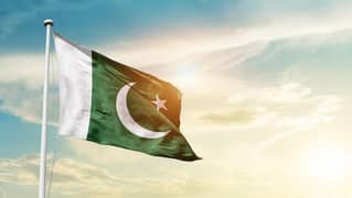 ہمیں ہمارے افس کے لیے فی میل کنسلٹڈ کی ضرورت ہے