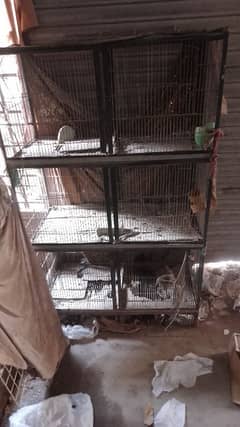 6 portion cage