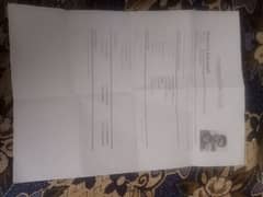 i need job 0/3/1/4/5/7/8/0/3/9/4