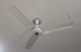 Ceiling