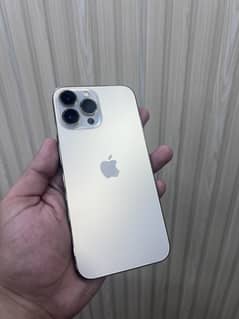 13pro