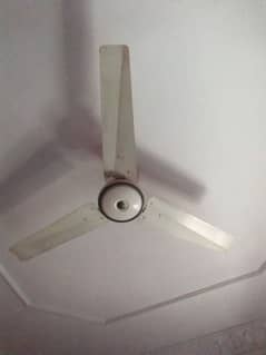 Full