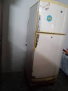 PEL Refrigerator