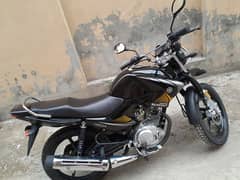yamaha
