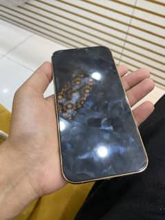 Iphone 12 pro max pta approved