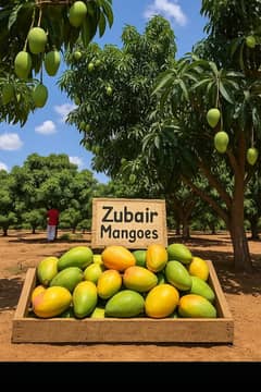 mirpurkhas