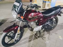 yb1 125z for Sale