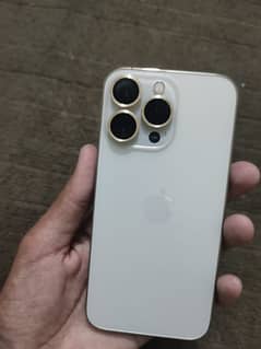 13 pro