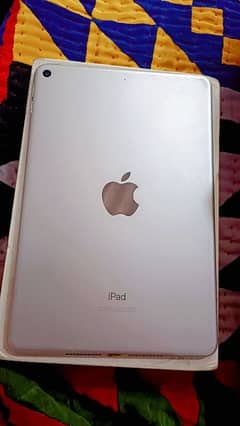 IPAD mini 5