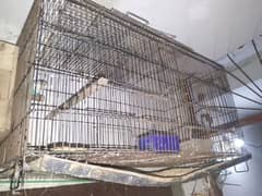 bird cage 2500