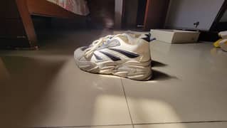 ecs shoes