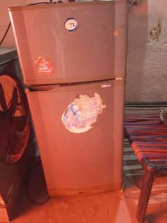 Pel company fridge