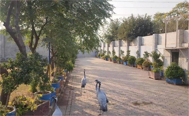 4 kanal Plot with Building on Main Express Way Interchange Big Front On Rent 2